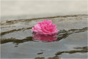 How do you move on from grief and loss? Mindful Keeping